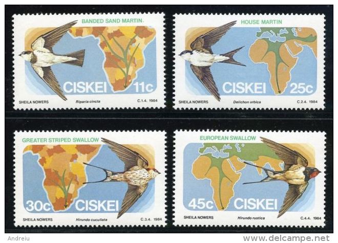 1984 Ciskei (South Africa) - Migratory Birds 4v., Swallows, Vogel, Oiseaux, Pajaros, Fauna Wildlife Michel 61/64 MNH - Swallows