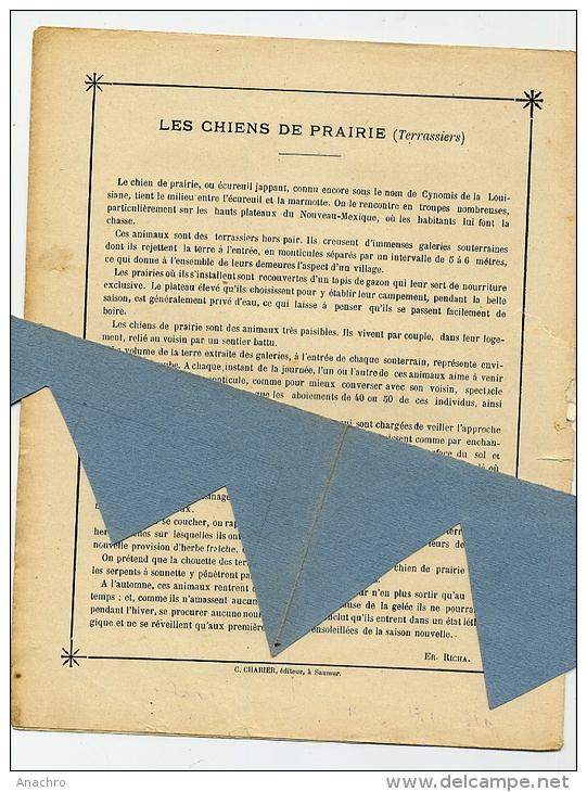 Le CHIEN De PRAIRIE TERRASSIER Couverture Protège Cahier METIER Chez Les ANIMAUX / Coll. C. CHARIER SAUMUR - Animali