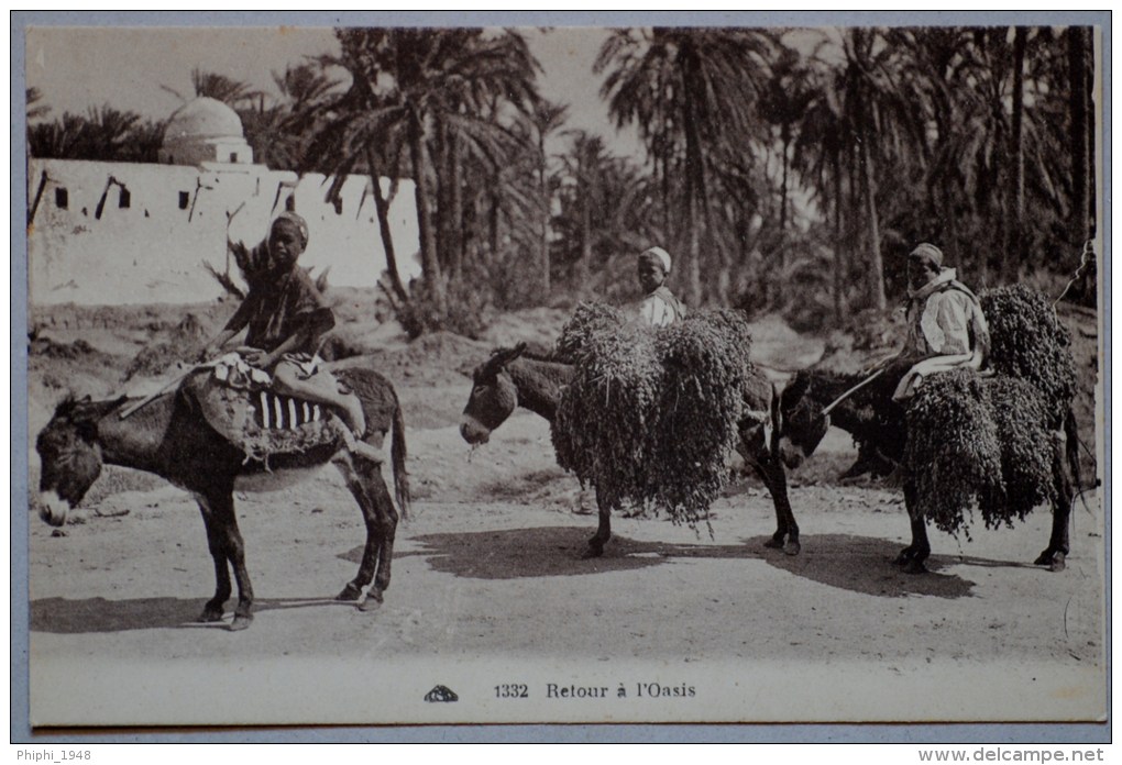 RETOUR à L'OASIS. - Sahara Occidental