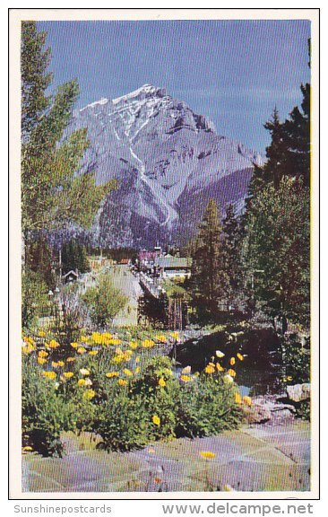 Canada Banff In The Valley Of The Bow River - Banff