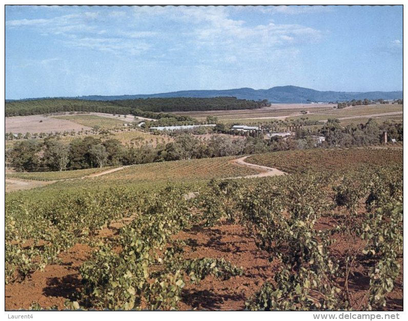 (245) Australia - SA - Barossa Valley And Vineyards - Barossa Valley