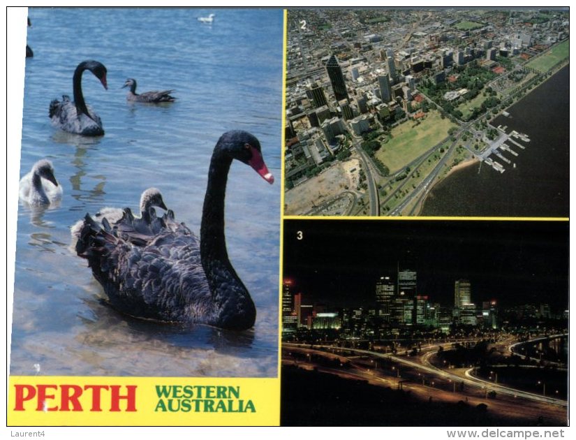 (245) Australia - WA - Perth With Back Swan - Perth