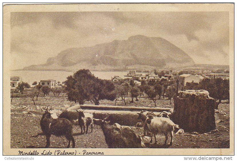 E810- Mondello Lido - Palermo - Panorama - Abbeveratoio Capre - F.p. Non Vg. - Palermo