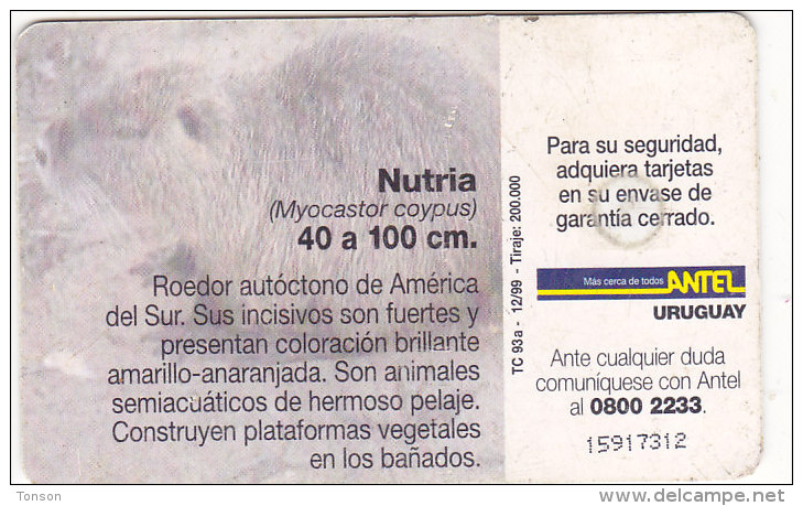Uruguay TC 093a, Mamiferos, Nutria, 2 Scans. - Uruguay