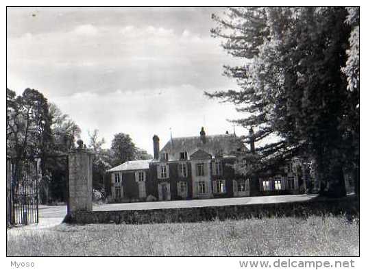 45 Chateau De PERTHUIS Conflans Sur Loing, Carte Photo, Editions J Lemosse - Other & Unclassified