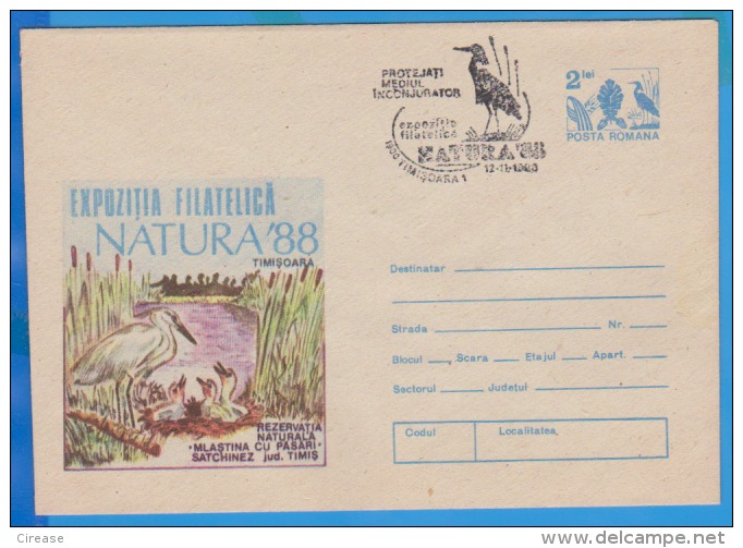 Bog With Birds ROMANIA Postal Stationery Cover 1988 - Storchenvögel