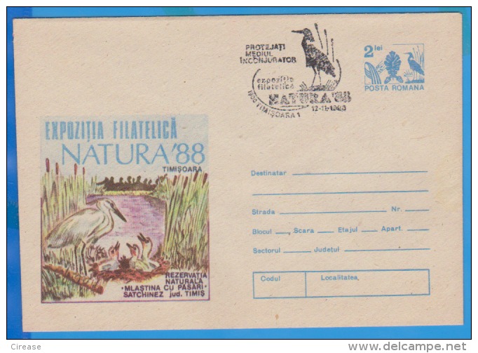 Bog With Birds ROMANIA Postal Stationery Cover 1988 - Storks & Long-legged Wading Birds
