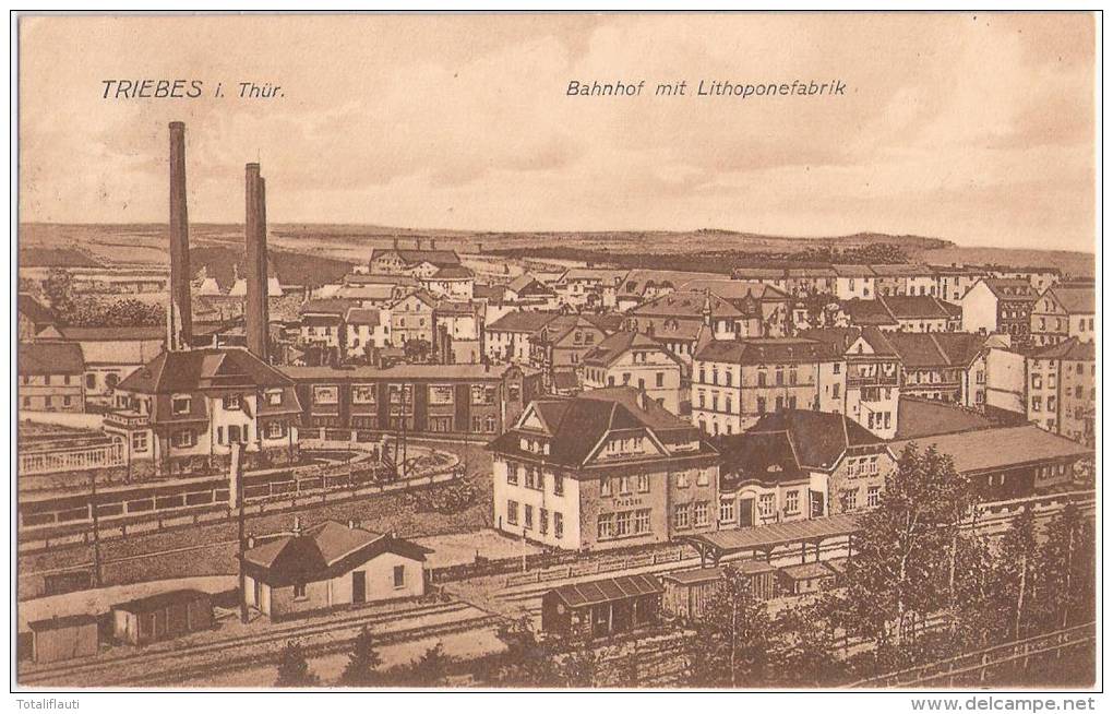 TRIEBES In Thüringen Bahnhof Mi Lithopone Fabrik Vogelschau 4.6.1927 TOP- Erhaltung - Zeulenroda