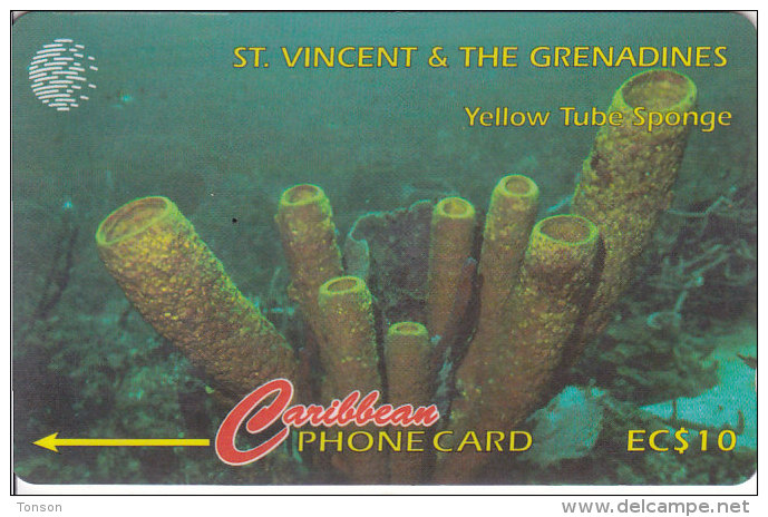 St. Vincent & The Grenadines, STV-101A, Yellow Tube Sponge,  2 Scans.   101CSVA - Saint-Vincent-et-les-Grenadines