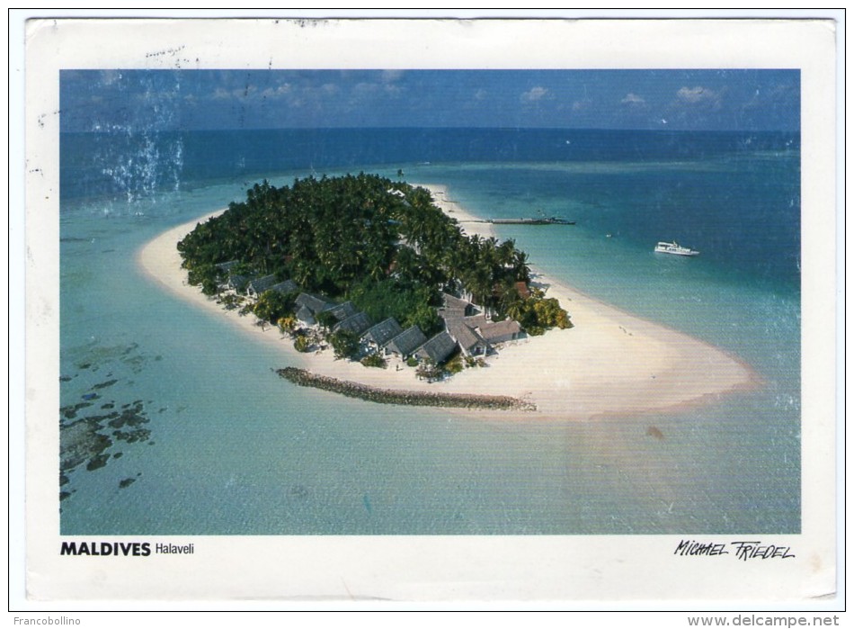 MALDIVES - ARI-ATOLL HALAVELI (FRIEDEL No.23/125) / THEMATIC STAMP-BIRD - Maldives