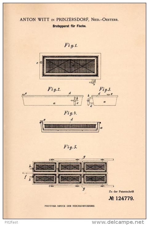 Original Patentschrift - A. Witt In Prinzersdorf , Österreich , 1900 , Brutapparat Für Fische , Fisch !!! - Historische Dokumente