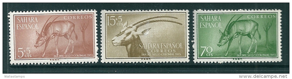 Spanish Sahara 1955 SG 120-2 MNH** - Sahara Espagnol