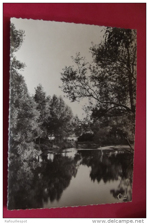 Carte  Photo La Chapelle Vieille Foret  Bords De L'armançon - Flogny La Chapelle