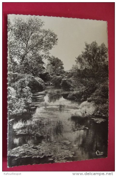 Carte  Photo La Chapelle Vieille Foret  Bords De L'armançon - Flogny La Chapelle