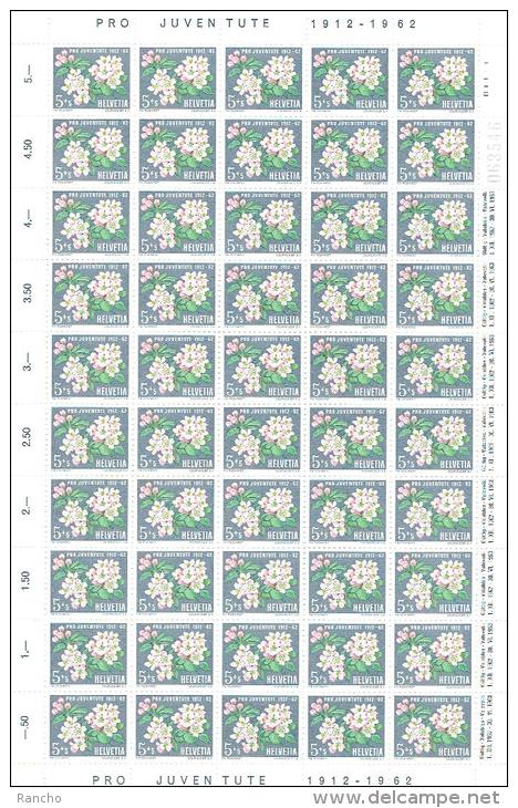 ** PRO/J. 1962 SERIE 5xPLANCHES NEUFS A/GOMME C/S.B.K. Nr:J193/J197. MICHEL Nr:758/762. Y&TELLIER Nr:700/704.** - Unused Stamps