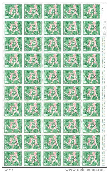 ** PRO/J. 1962 SERIE 5xPLANCHES NEUFS A/GOMME C/S.B.K. Nr:J193/J197. MICHEL Nr:758/762. Y&TELLIER Nr:700/704.** - Unused Stamps