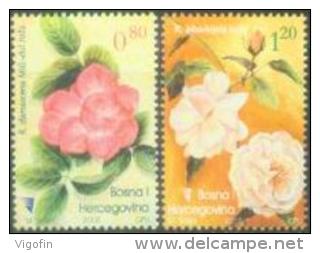 BH 2005-385-6 ROSES, BOSNA AND HERZEGOVINA, 2v, MNH - Rose