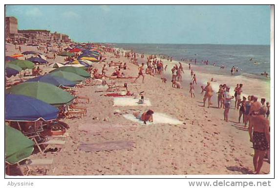 ETATS UNIS - Cpsm OCEAN CITY - Beach Scene - D1 7 - Ocean City