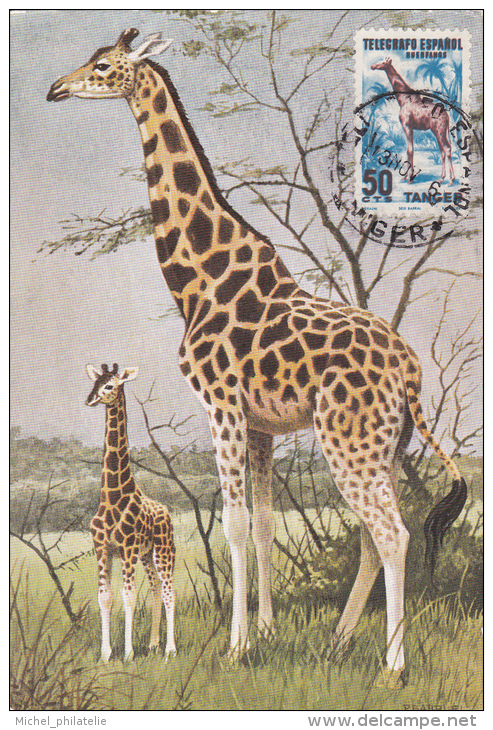 Savanes D'Afrique Tropical "girafe" - Autres & Non Classés