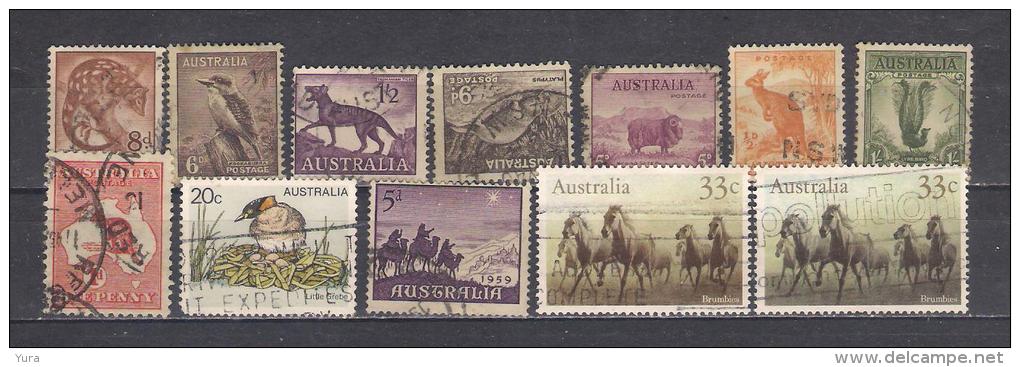 Lot 54 Australia  Fauna 12 Different - Andere & Zonder Classificatie