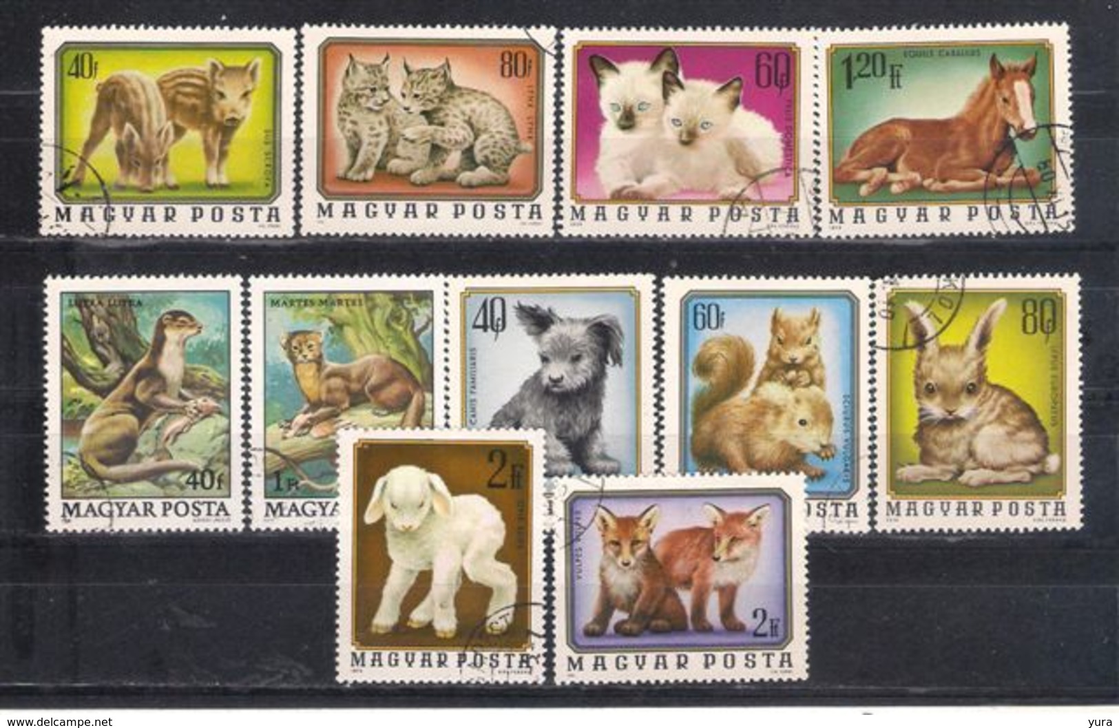 Lot 55 Hungary  Fauna 11 Different - Andere & Zonder Classificatie