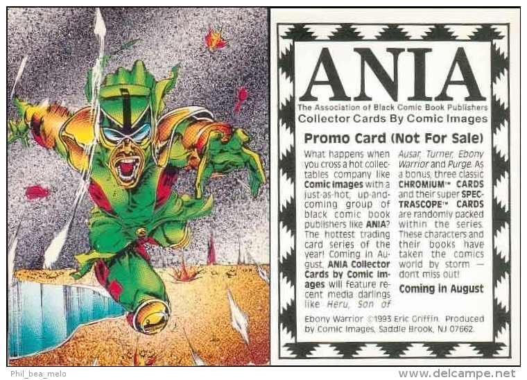 CARTE PROMO ANIA - COMIC IMAGE - 1993 - EBONY WARRIOR - Autres & Non Classés