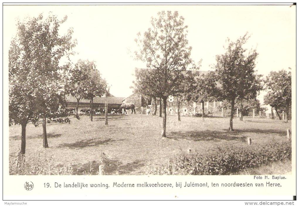 Julemont Herve - Herve