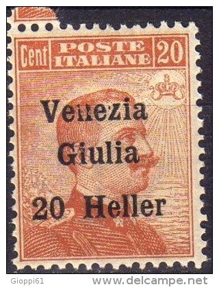 1919 Venezia Giulia - F.lli Italiani Del 1906-17 Soprastampati ´Venezia Giulia´ 20 H Su 20 C - Venezia Giulia