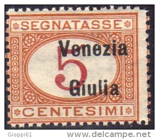 1918 Venezia Giulia - Segnatasse F.lli Italiani Del 1890-1903 Soprastampati ´Venezia Giulia´ 5 C - Venezia Giulia