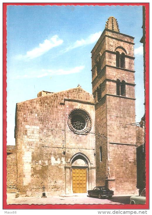 CARTOLINA NV ITALIA - TARQUINIA (VT)  - Chiesa Di San Pancrazio - 10 X 15 - PERFETTA - Altri & Non Classificati