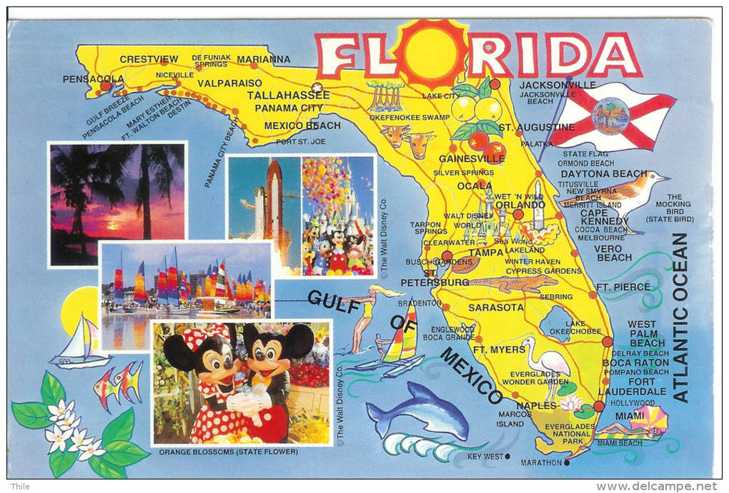 FLORIDA - Carte Géographique - Autres & Non Classés