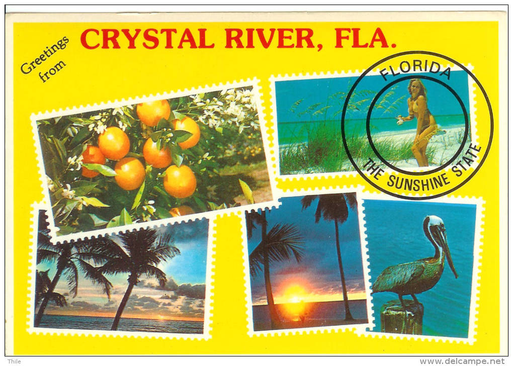 Florida - Crystal River - Autres & Non Classés