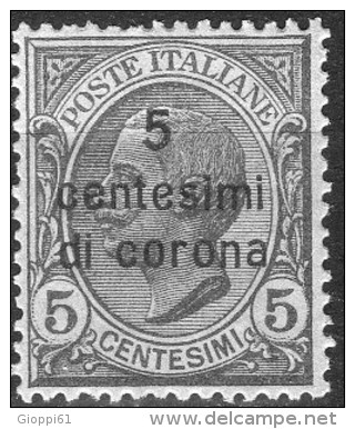 1919 Emissioni Generali - F.lli D´Italia Del 1901-18 Soprastampati In Centesimi Di Corona 5 C - Andere & Zonder Classificatie