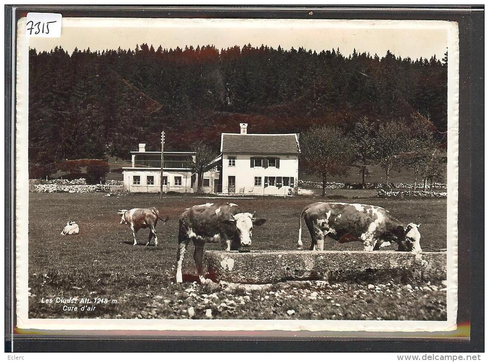 FORMAT 10x15 - DISTRICT DE GRANDSON /// LES CLUDS SUR BULLET - B ( LEGERES FROISSURES ) - Bullet