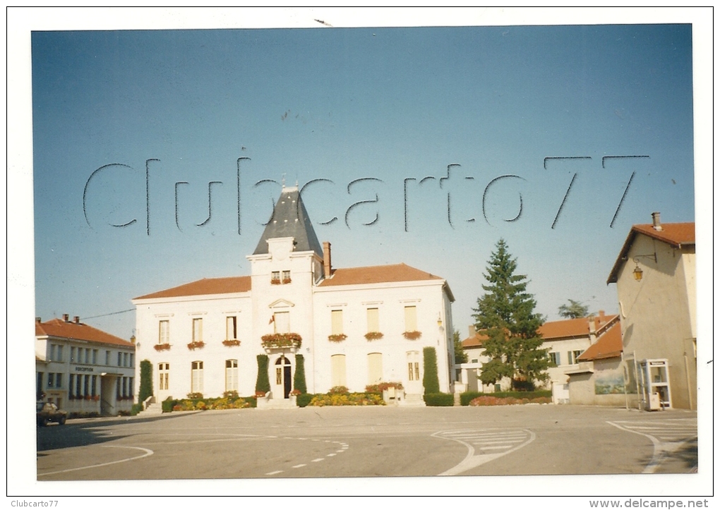 Villars-les-Dombes (01): Photo Projet CP GF La Mairie Et Vue Partiel De La Perception En 1991 RARE. - Villars-les-Dombes