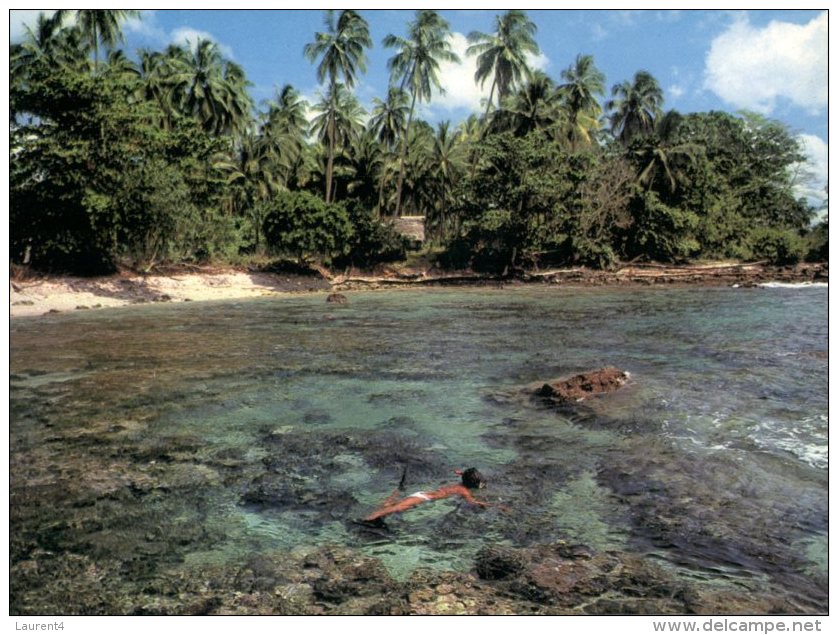 (309) Papua New Guinea - Papaousie Nouvelle Guinée - Diving - Papoea-Nieuw-Guinea