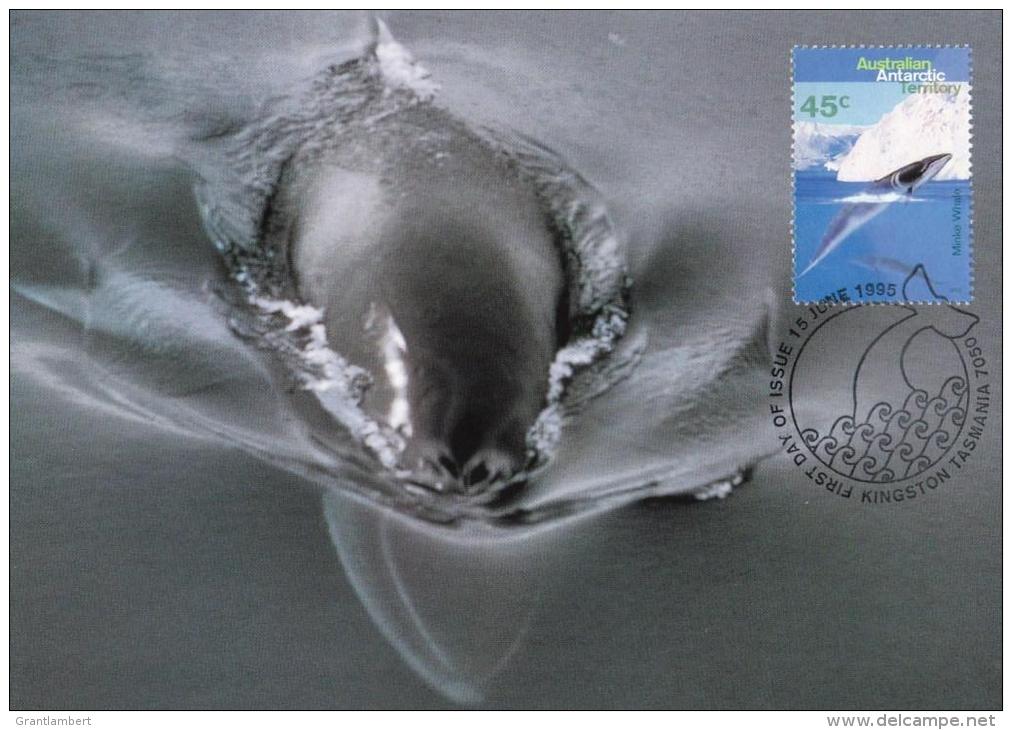 Australian Antarctic 1995 45c Minke Whale Maximum Card - Maximum Cards