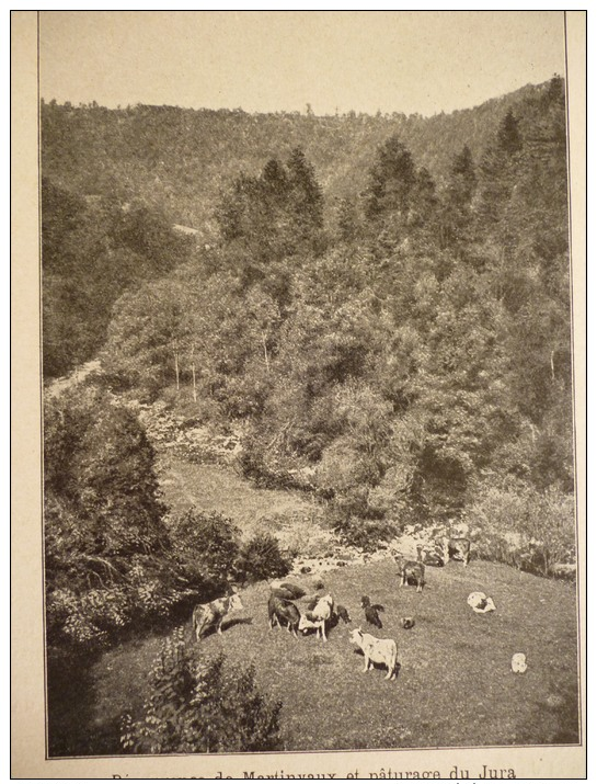 Résurgence De Martinvaux Et Paturage Du Jura , édition Bong , Circa 1911 - Documents Historiques