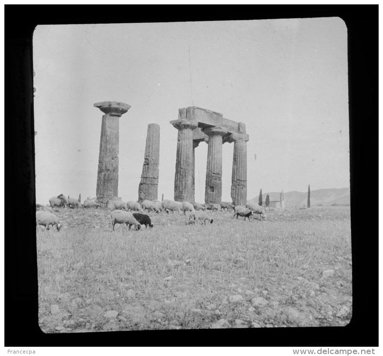 V1144 - GRECE - Ruines Du Temple De Jupiter à CORINTHE - Glasdias