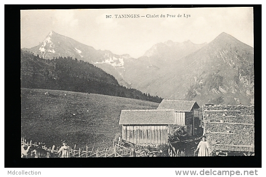 74 TANINGES / Chalet Du Praz De Lys / - Taninges