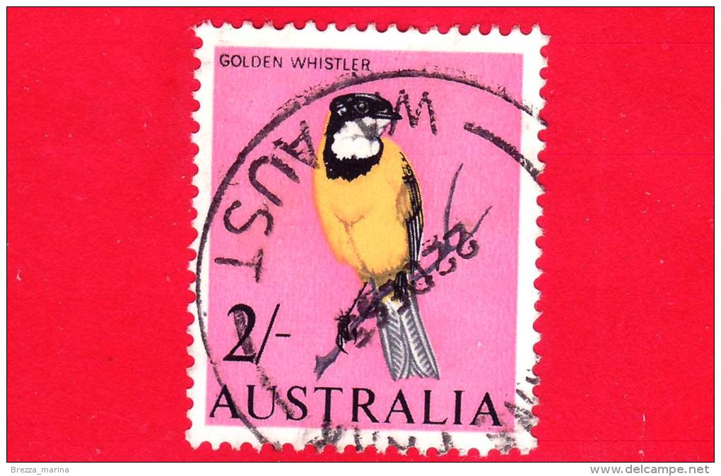 AUSTRALIA - USATO - 1966 - Uccelli - Birds - Oiseaux - Golden Whistler - 2/. - Gebraucht