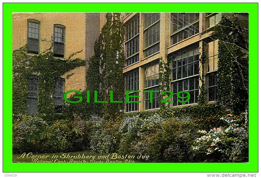 DAYTON, OH - A CORNER IN SHRUBBERY &amp; BOSTON IVY - NATIONAL CASH REGISTER WORKS - TRAVEL IN 1919 - - Dayton