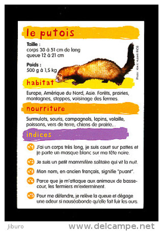 Unclassified Qui Suis Je Rat Et Putois 2 Scans Animal Bim 01 B1 8