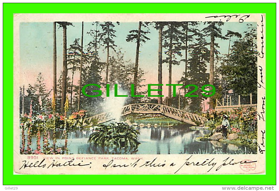 TACOMA, WA - VIEW IN POINT DEFIANCE PARK - ANIMATED KID - TRAVEL IN 1907 - UNDIVIDED BACK - - Tacoma