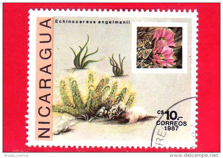 NICARAGUA  - Nuovo - 1987 - Cactus - Echinocereus Engelmanii - 10 - Nicaragua