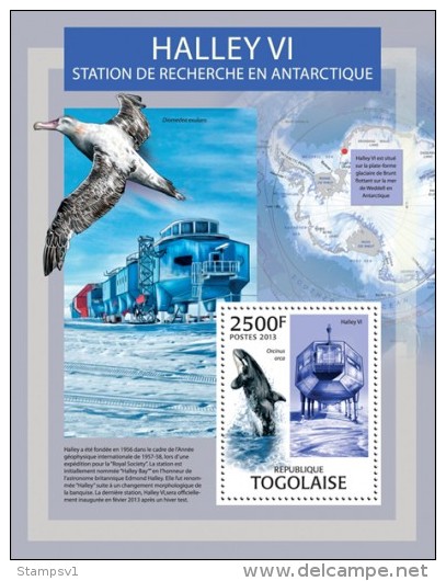 Togo. 2013 Antarctic Research. (307b) - Wale