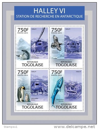 Togo. 2013 Antarctic Research. (307a) - Wale