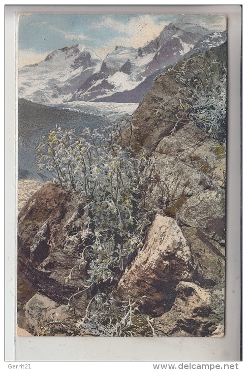 PHOTO - Photochromiekarte, Artemisia Mutellina, 1909 - Fotografie