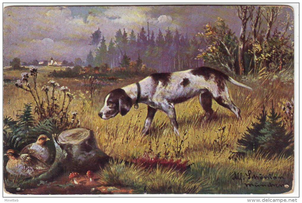 Illustrateur Schönian "Hund Spirt Auf Einer Wiese Vögel Auf" - Guillaume