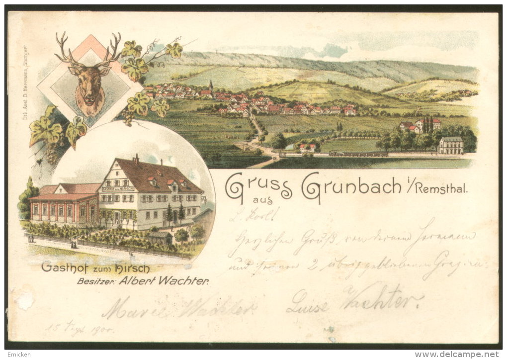 GRUNBACH LITHO OLD POSTCARD - Vogtland